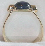 Non-Native Rings Stones - NNrcSt3 - Star Sapphire set in b