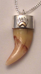 Capped Claws-Teeth Pendants - Pen9q Black bear tooth cap in silver